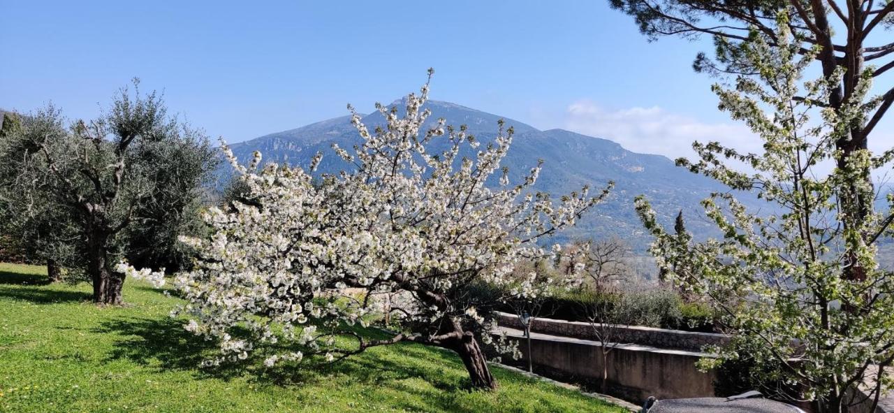 Loup Castel Boutique Le Bar-sur-Loup