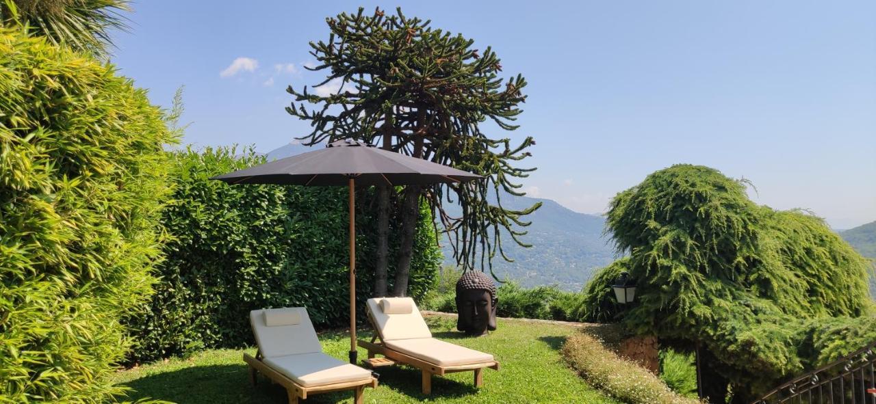 Loup Castel Boutique Couette-café